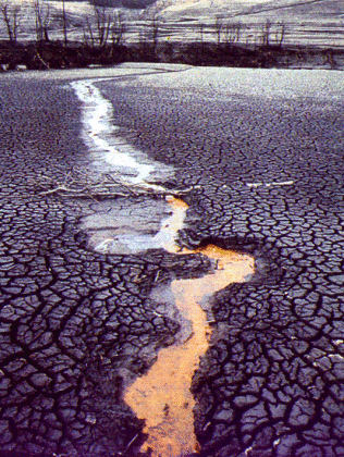 20 Contaminacion 3