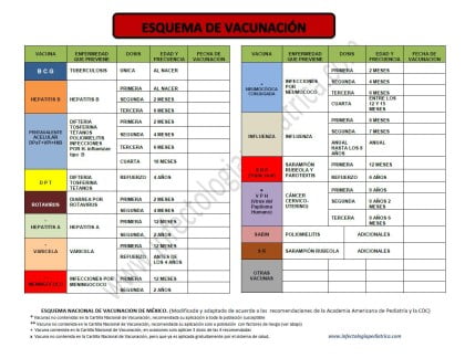 vacunas-2013