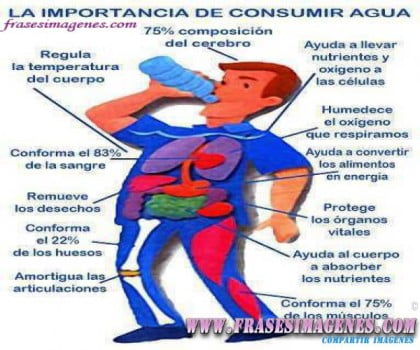 la-importancia-de-consumir-agua