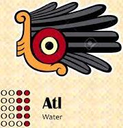 9 - copia