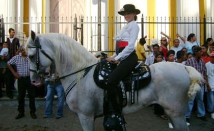 desfile-hipico